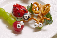 Caterpillars, Butterflies, and Snails, Oh My!